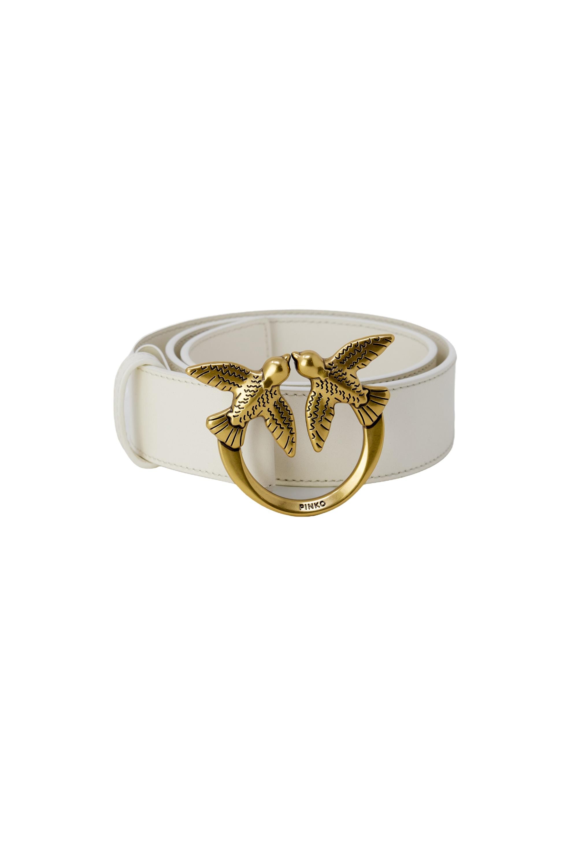 Pinko Belt 2