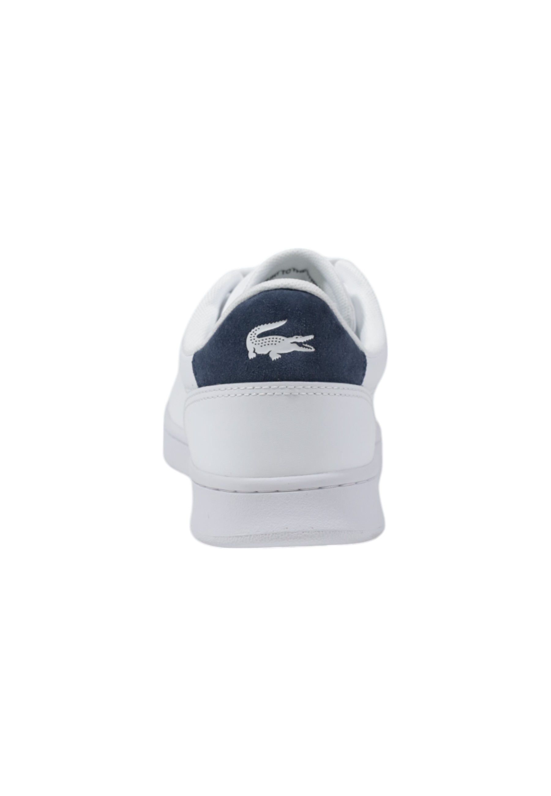 Lacoste Men Sneakers