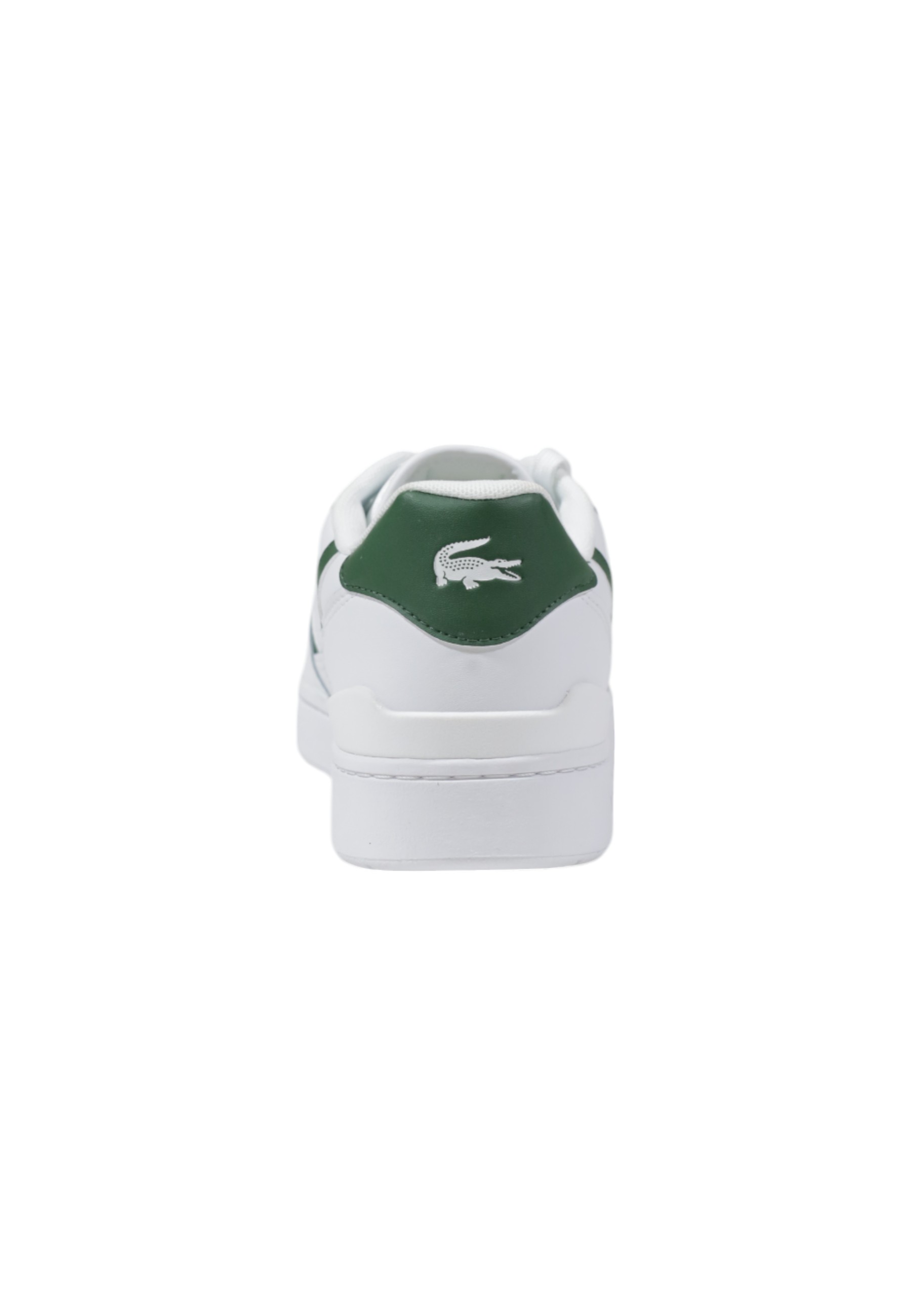 Lacoste Men Sneakers
