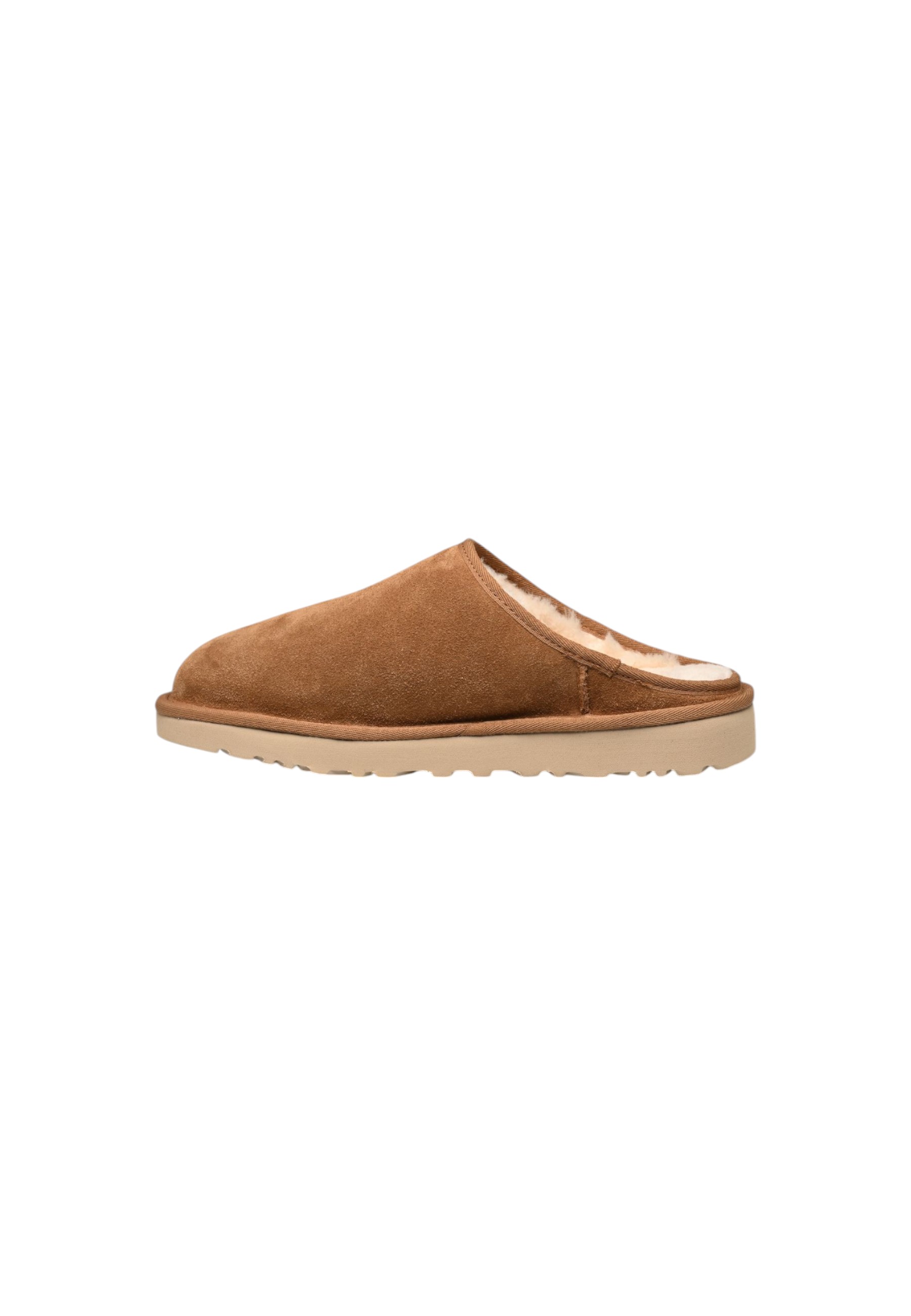 Ugg Men Slippers