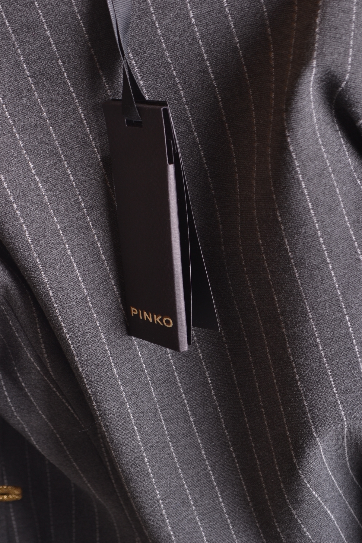 Pinko Blazer 6