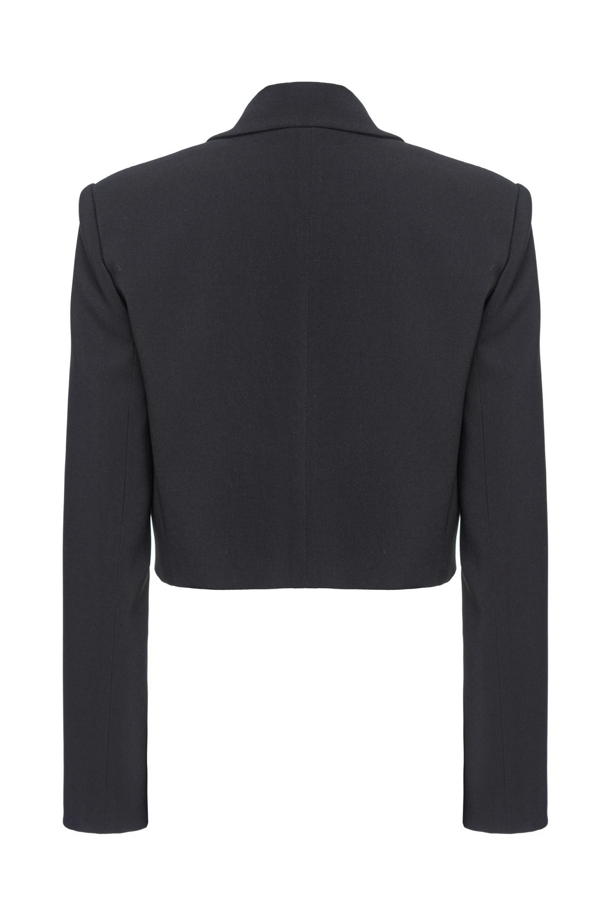 Pinko Blazer 2
