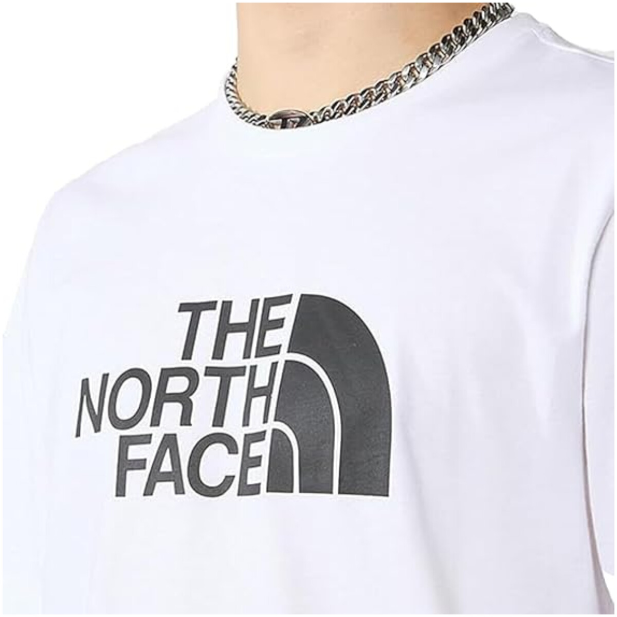 The North Face T-Shirt 2