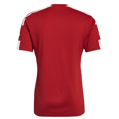 Adidas T-Shirt Uomo