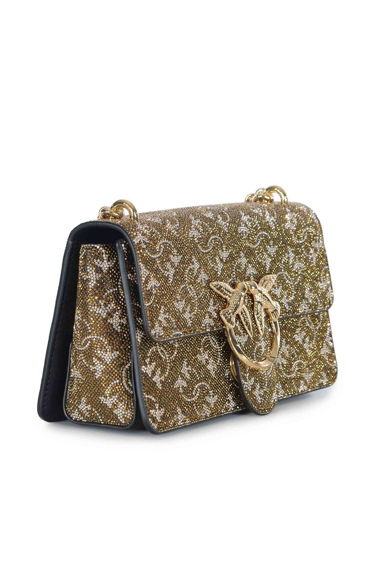 Pinko Bag 4