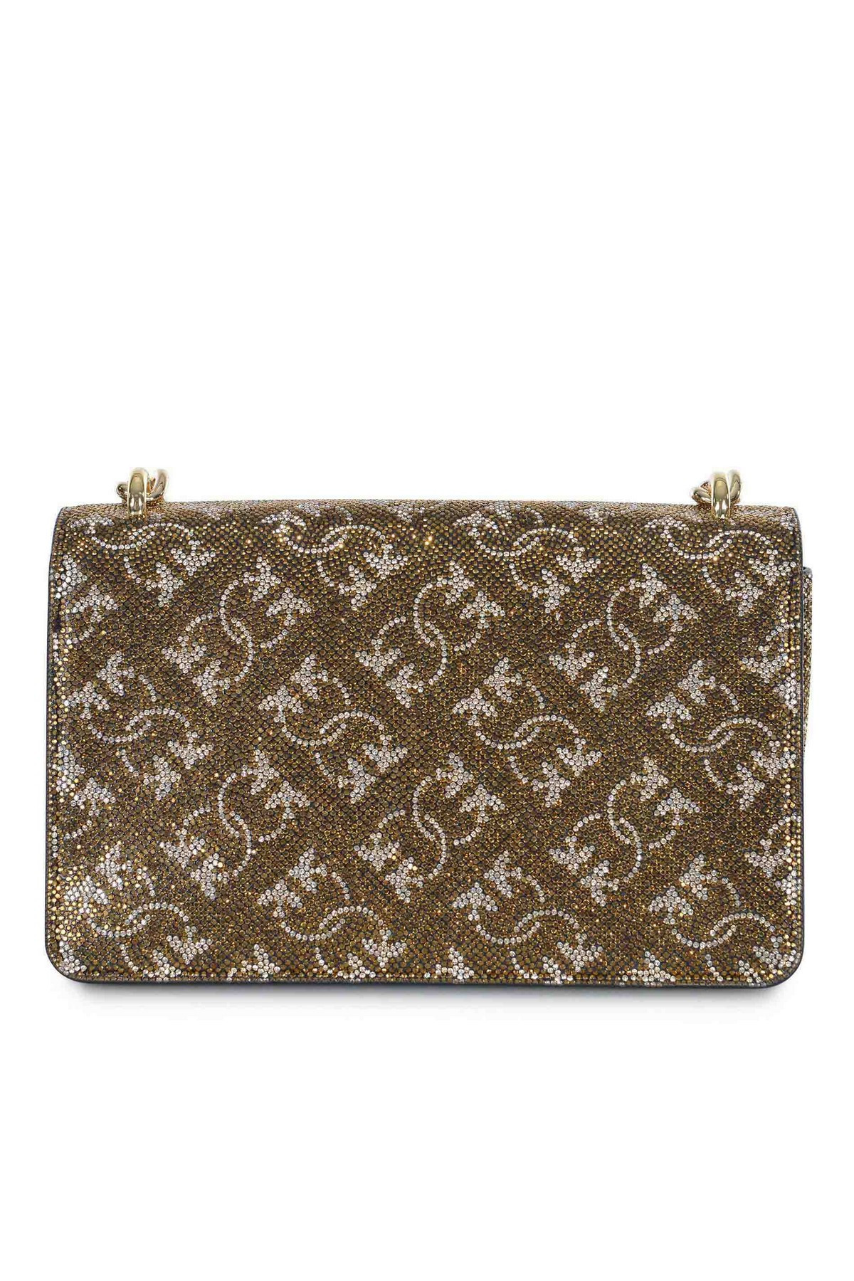 Pinko Bag 2