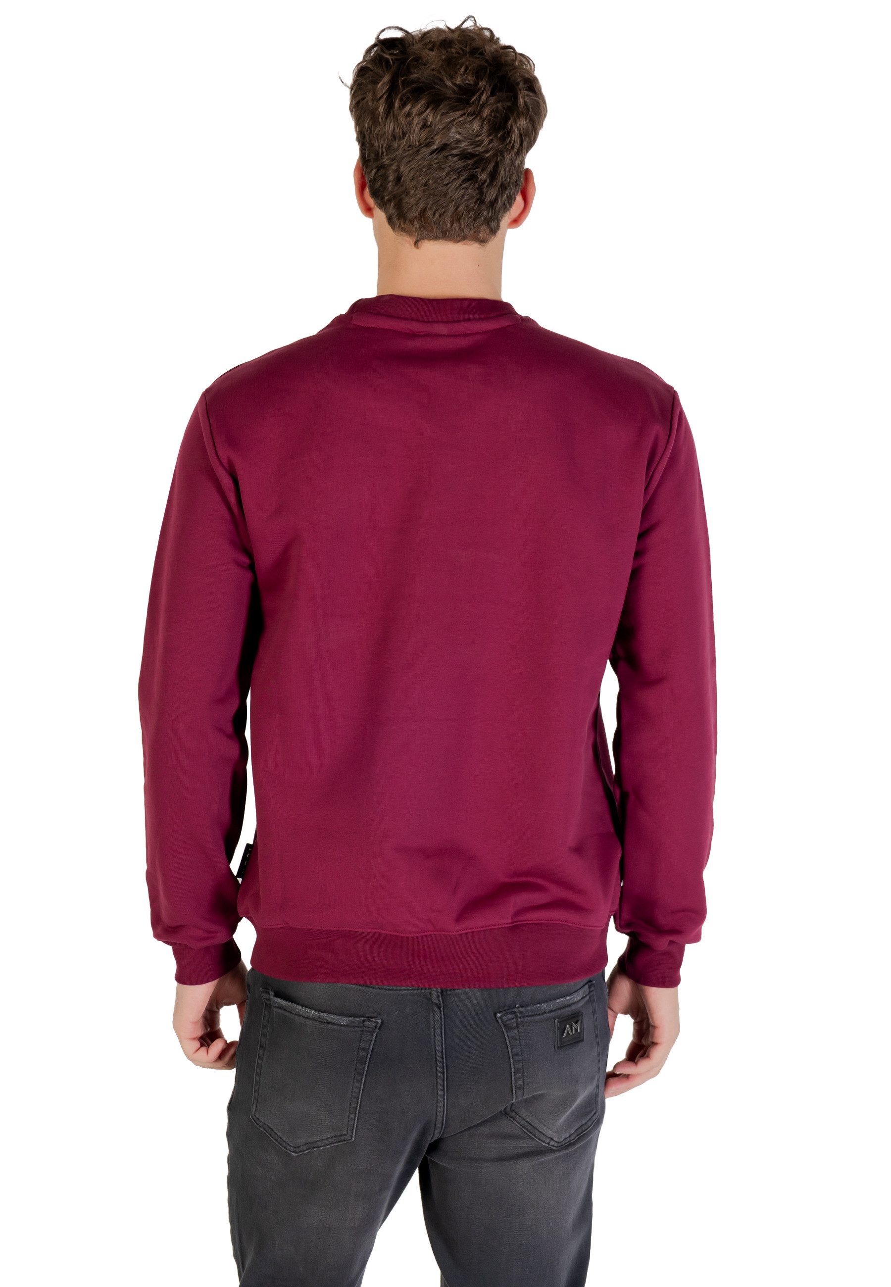 Icon Men Sweatshirts