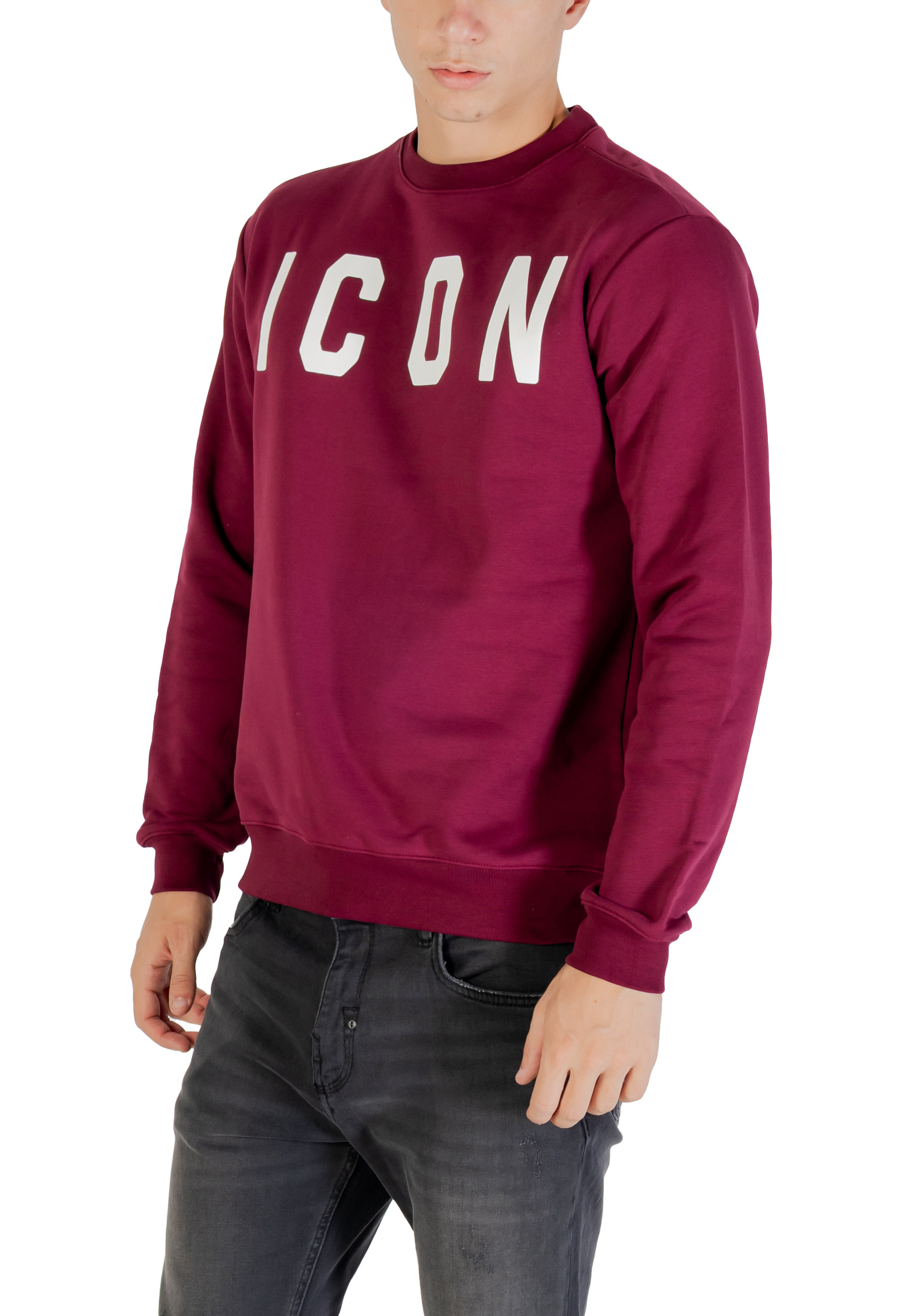 Icon Men Sweatshirts