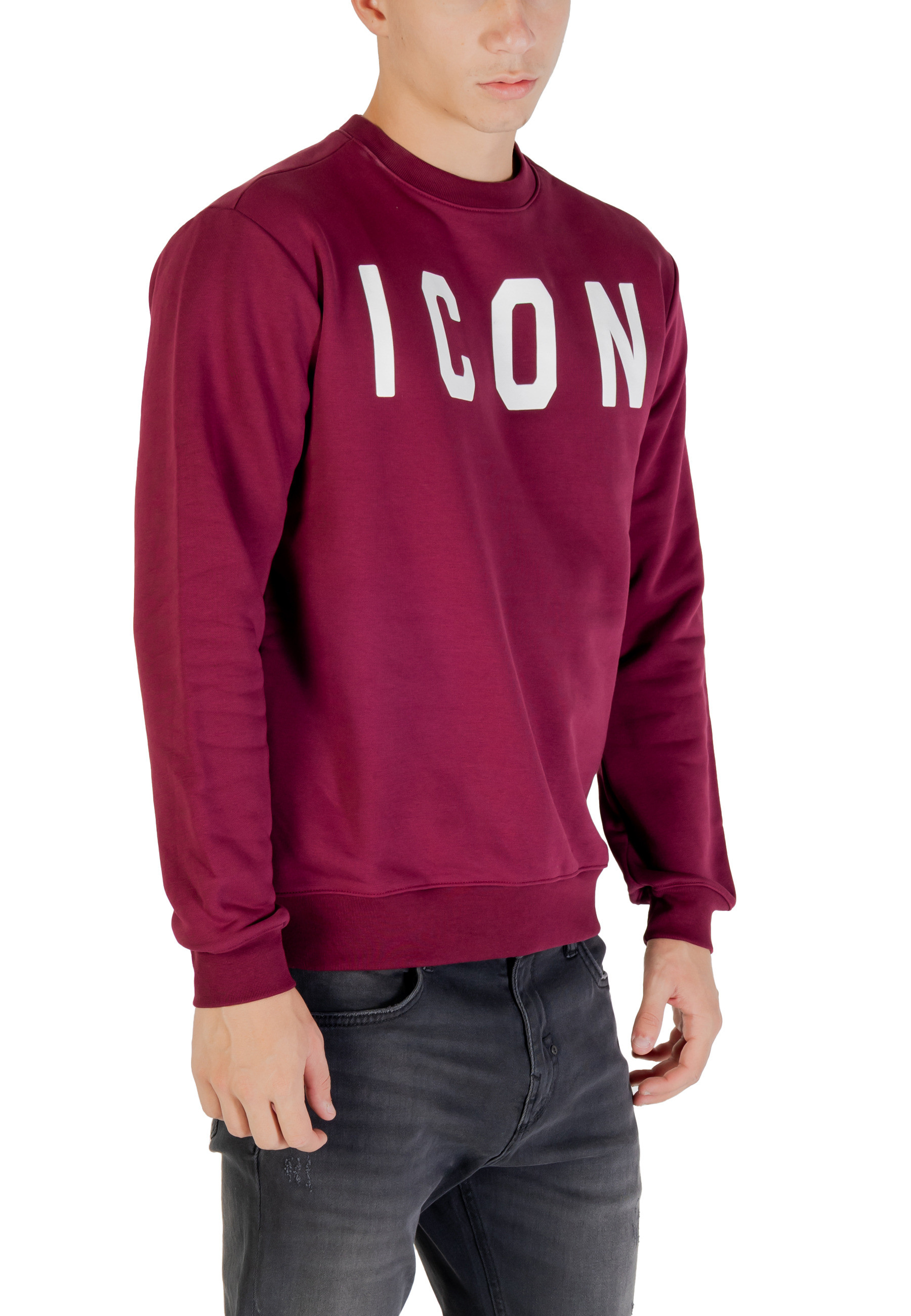 Icon Men Sweatshirts
