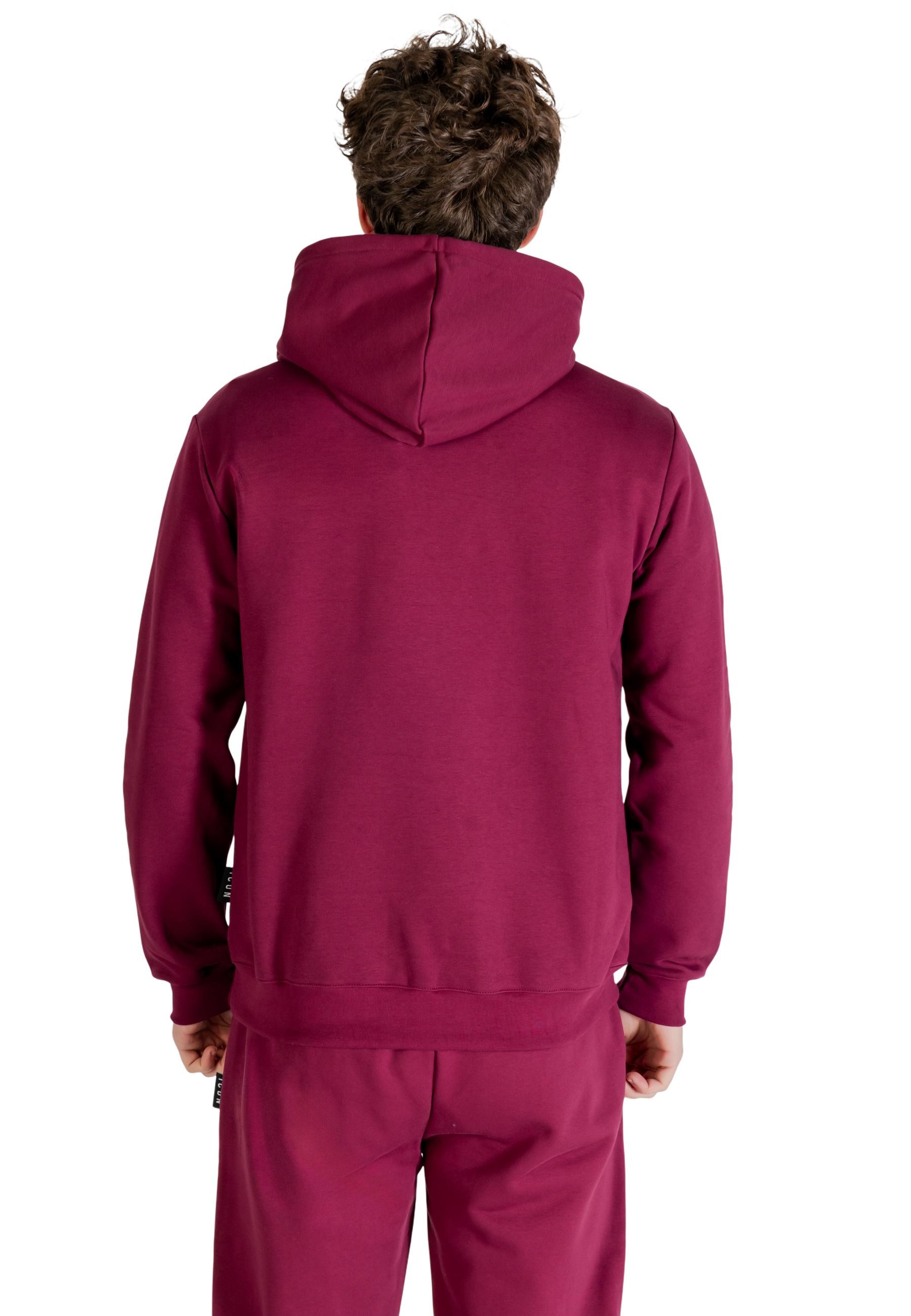 Icon Men Sweatshirts
