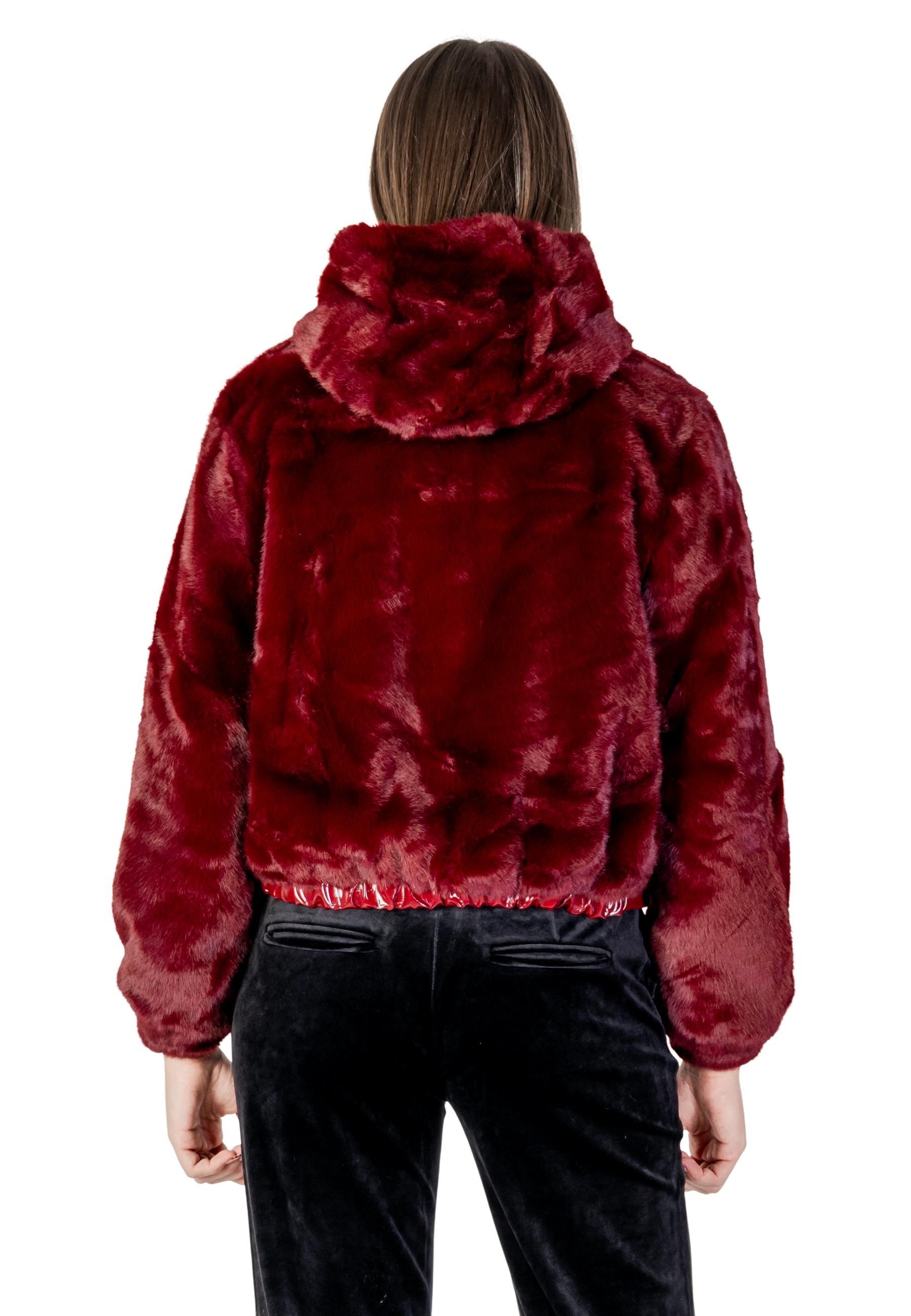 Ayfee  Women Blazer
