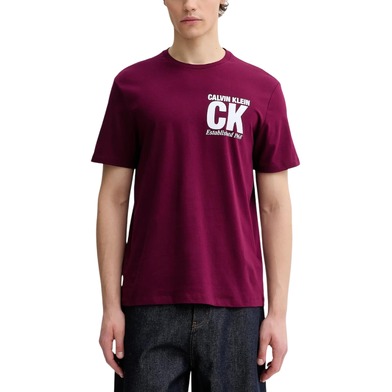 Calvin Klein T-Shirt Uomo