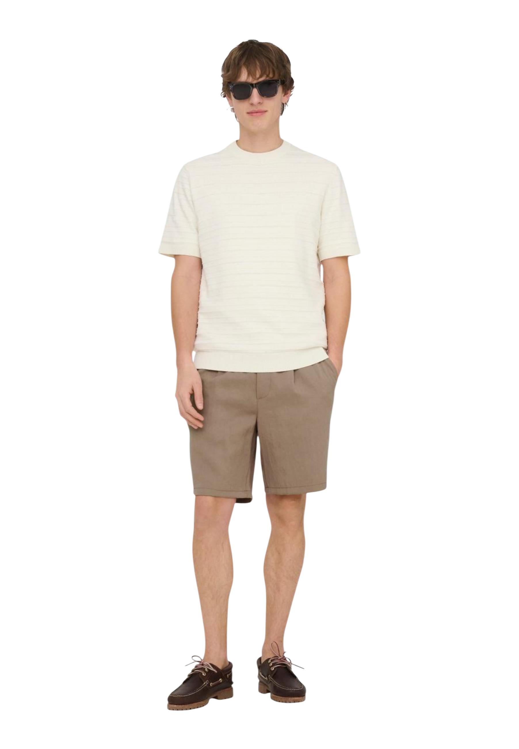 Only & Sons Shorts 14