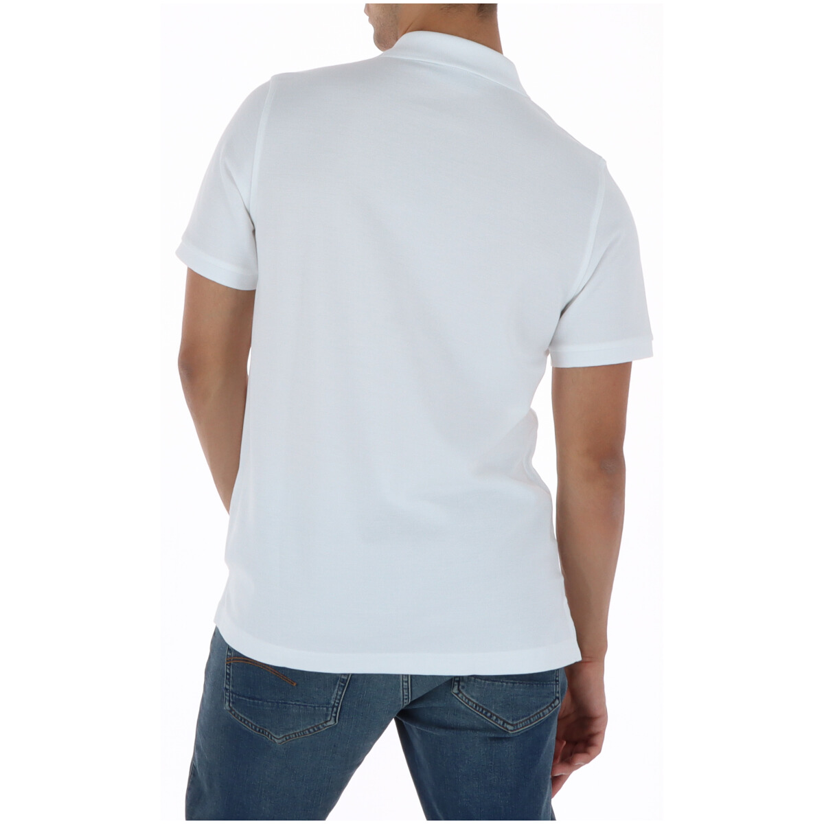Psycho Bunny Polo 6
