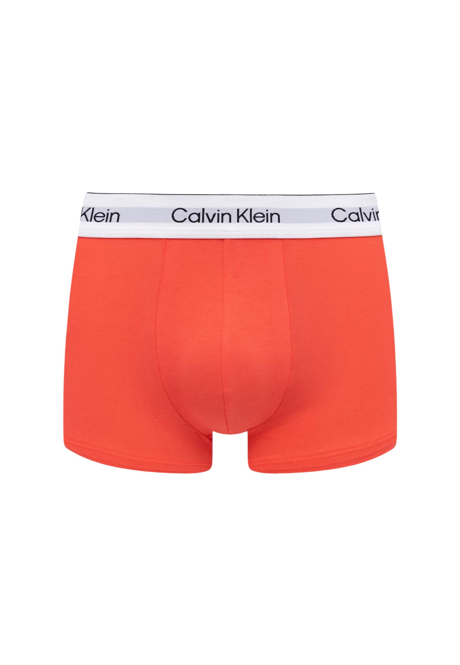 Calvin Klein Underwear 2