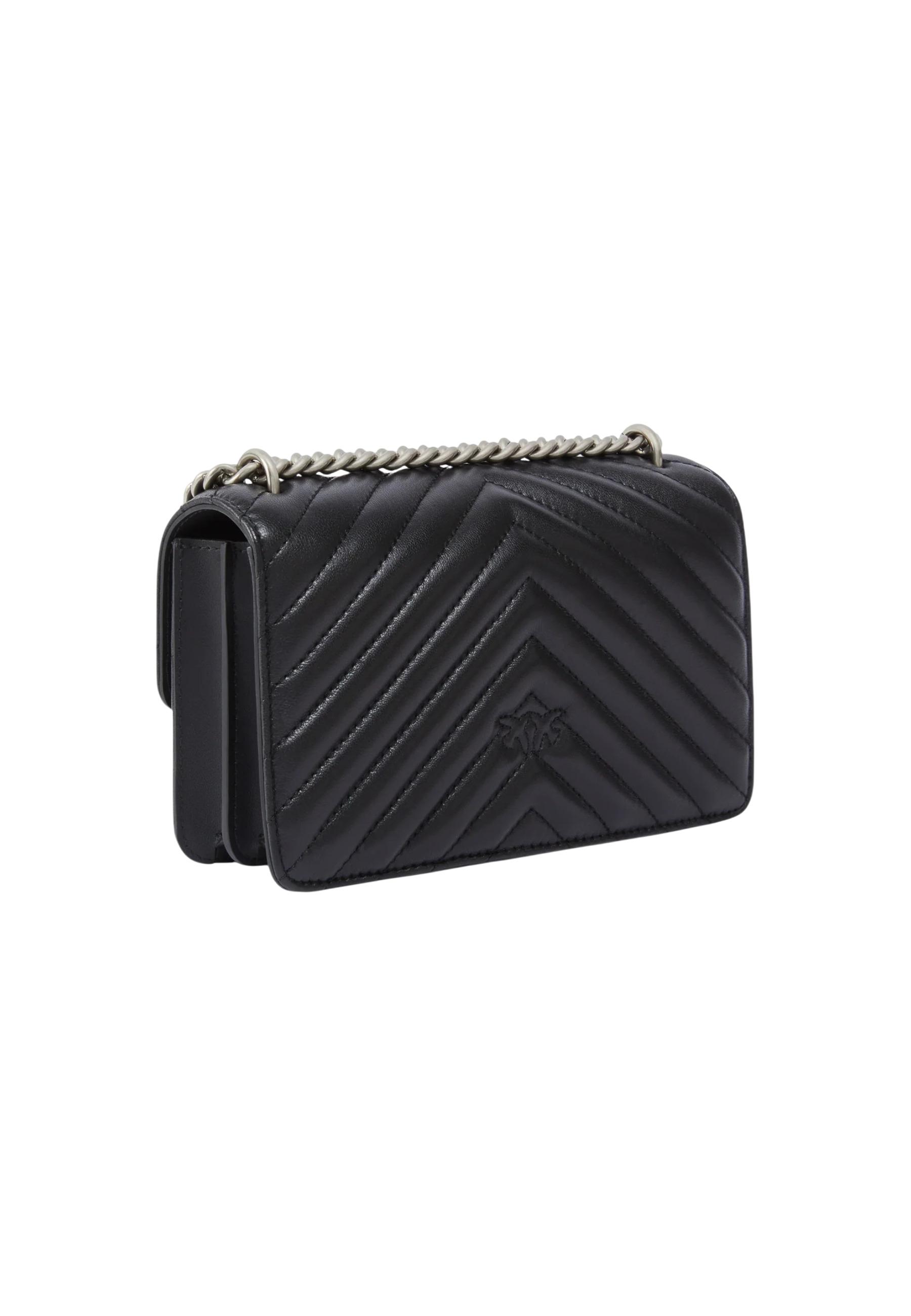 Pinko Bag 2