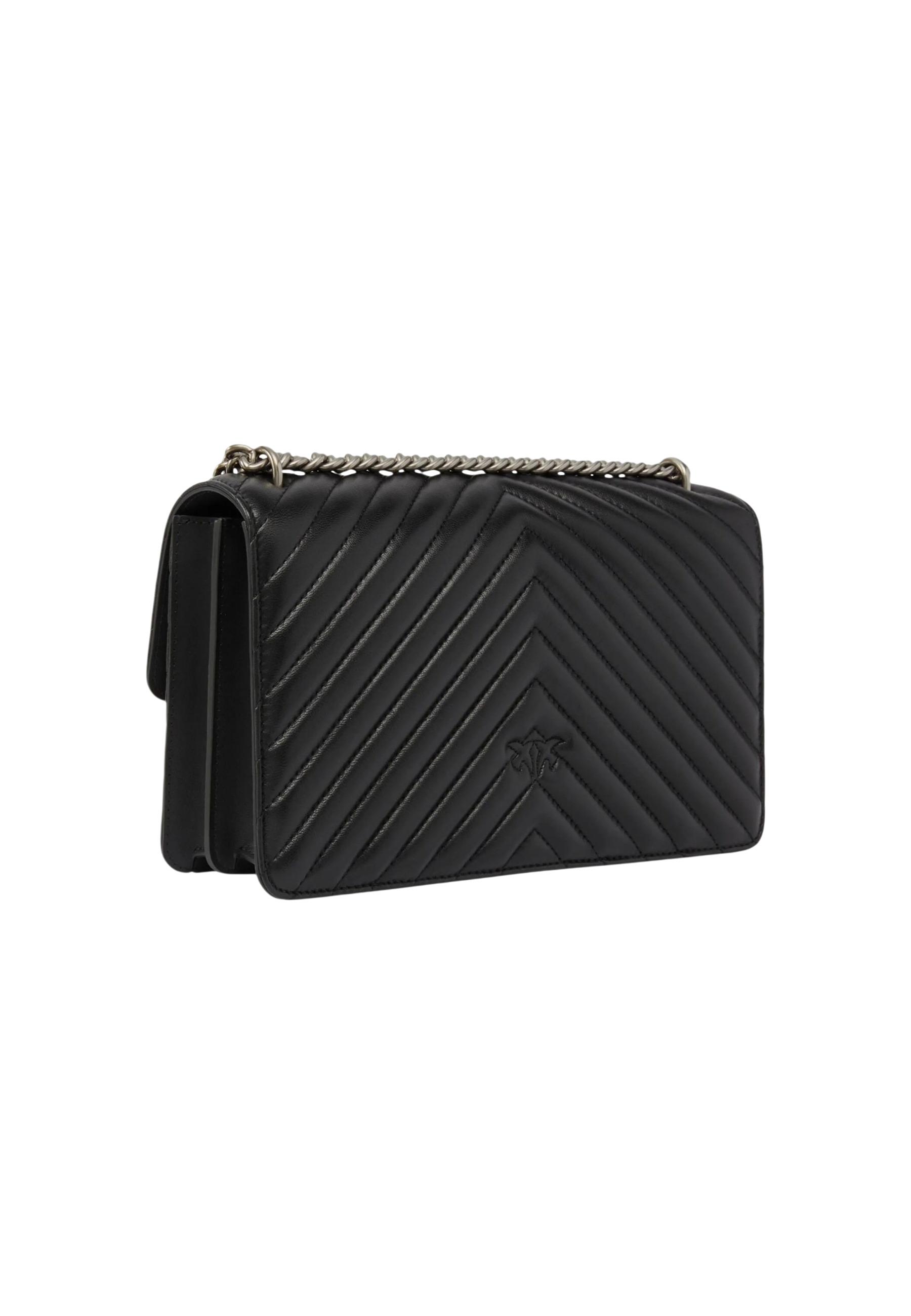 Pinko Bag 2