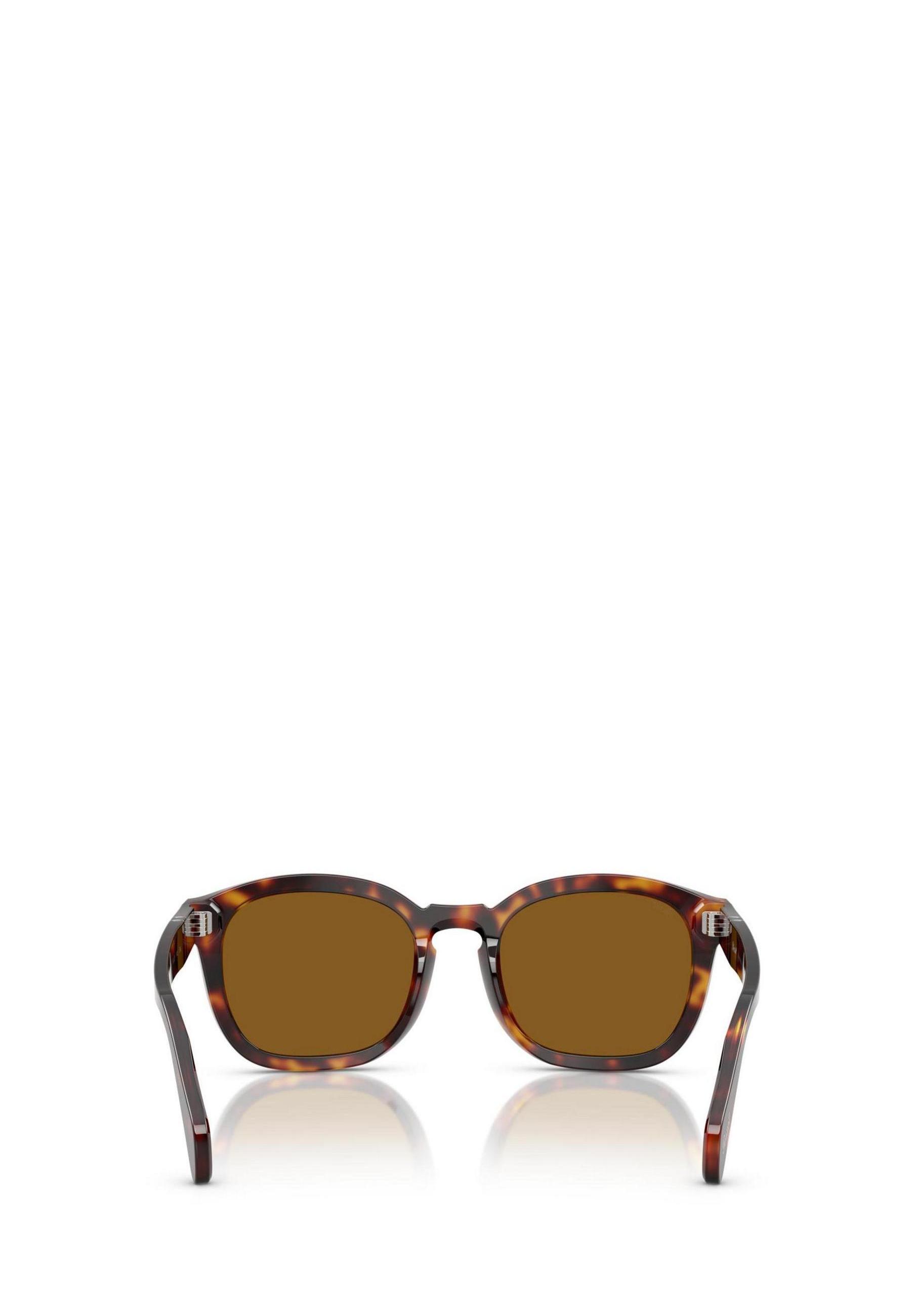Persol Sunglasses 4