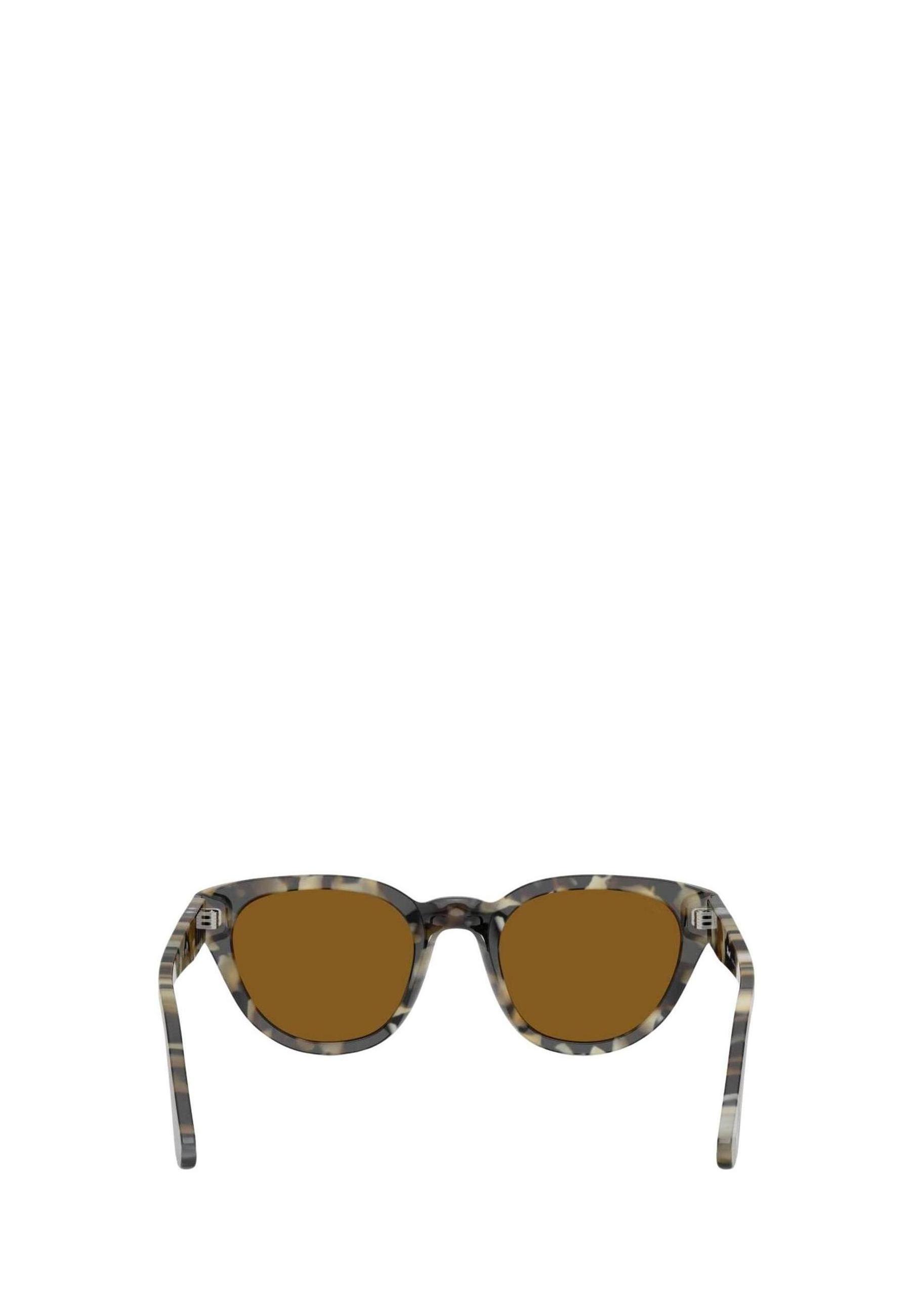 Persol Sunglasses 4