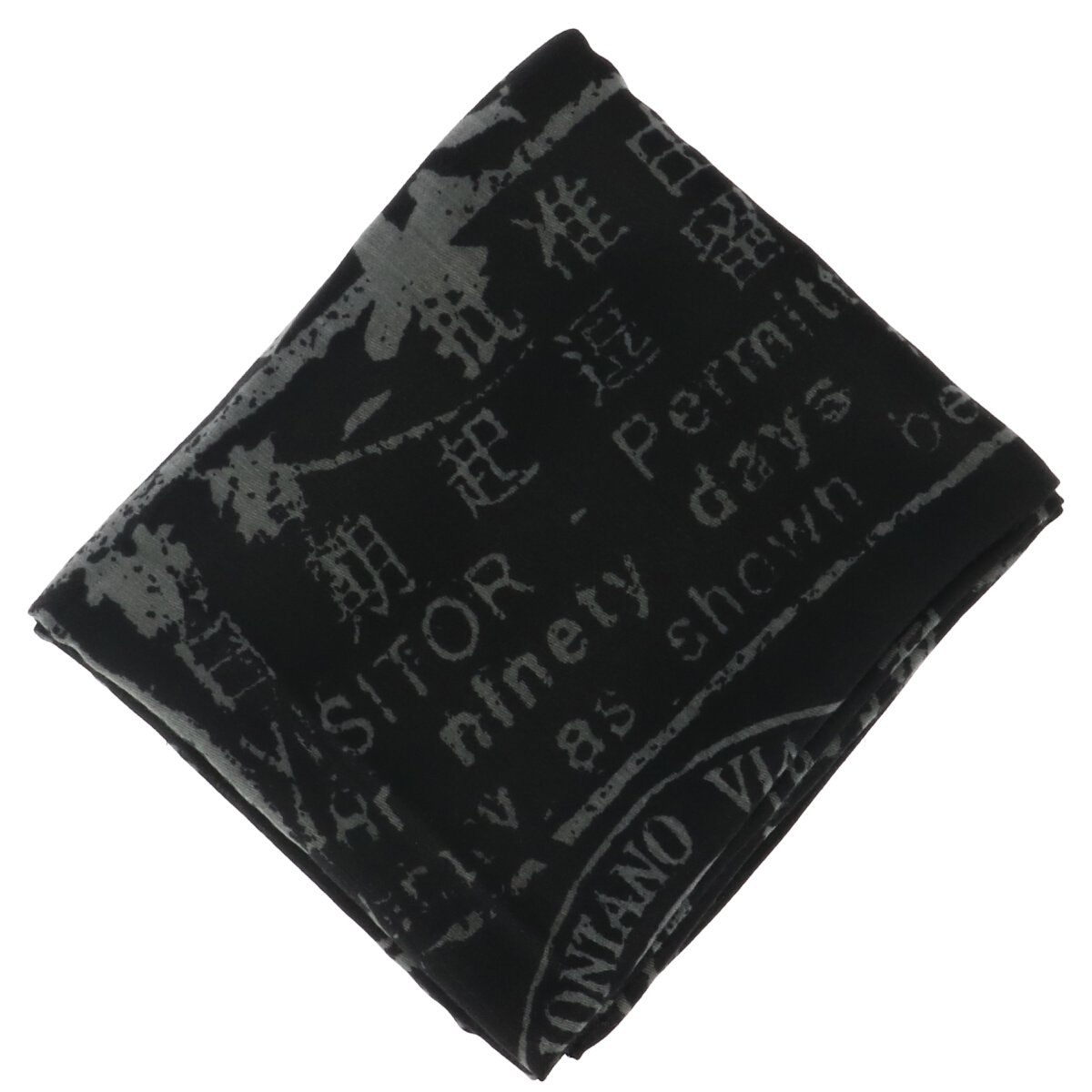 Alviero Martini Scarve 2