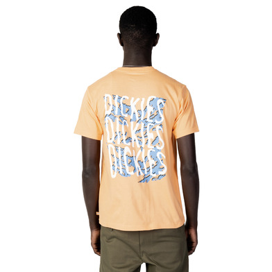 Dickies T-Shirt Uomo