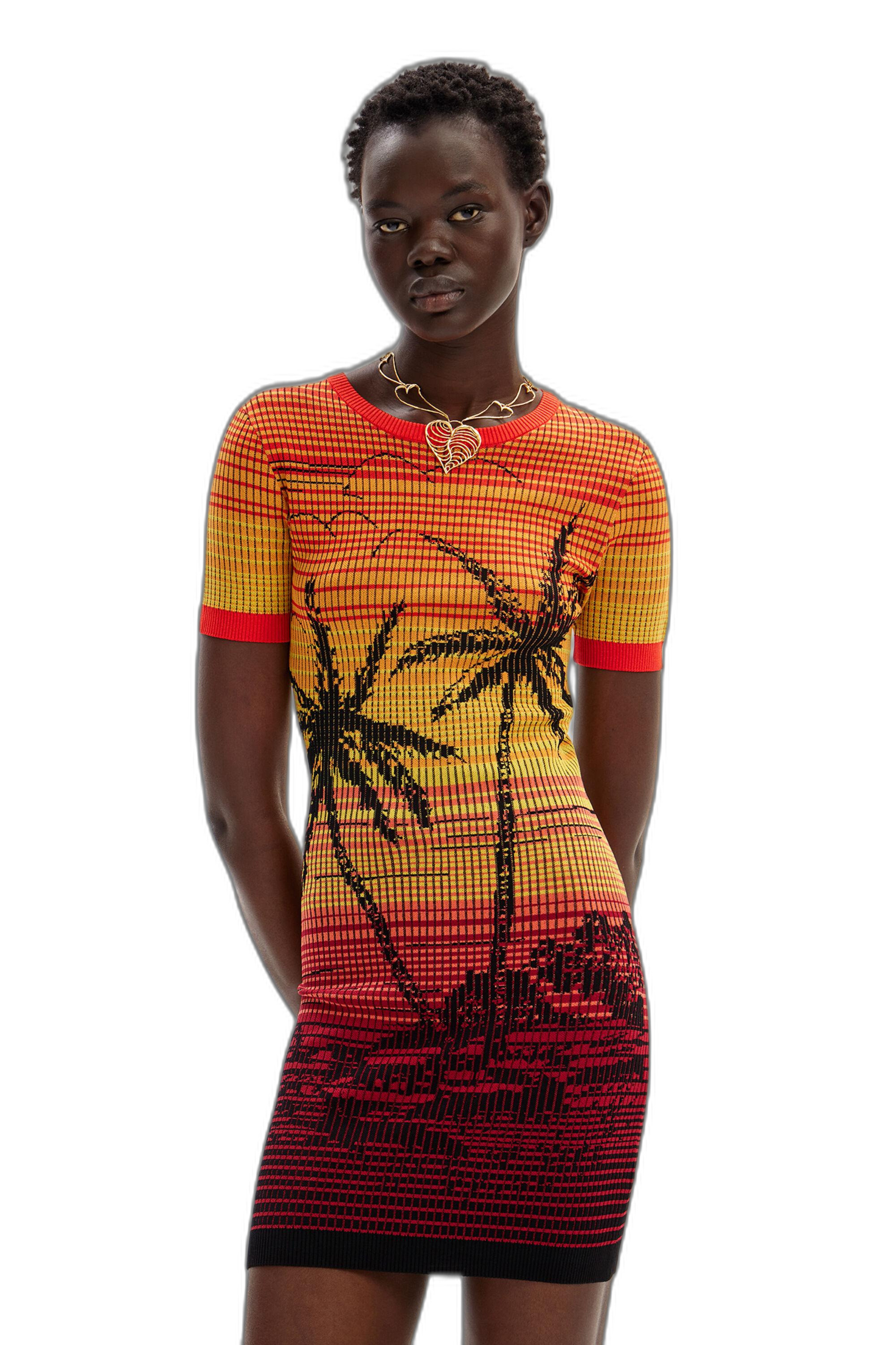 Desigual Dress 2