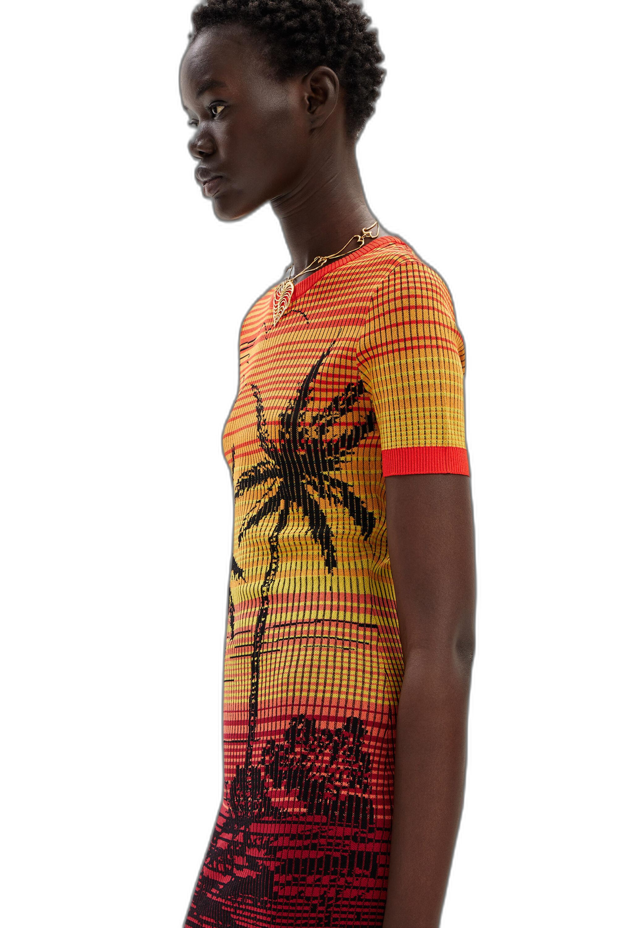 Desigual Dress 4