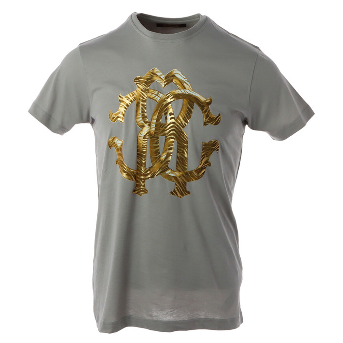 Roberto Cavalli - T-shirts Men Grey